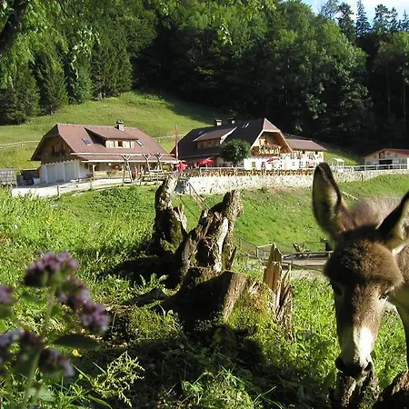 Guest house Hochsteinalm