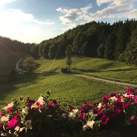 Guest house Hochsteinalm *