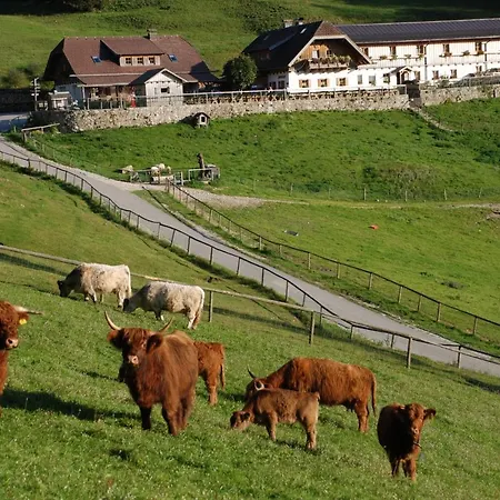 Hochsteinalm *