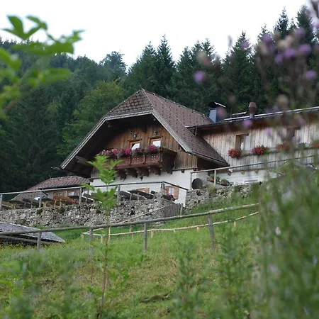 Guest house Hochsteinalm Traunkirchen