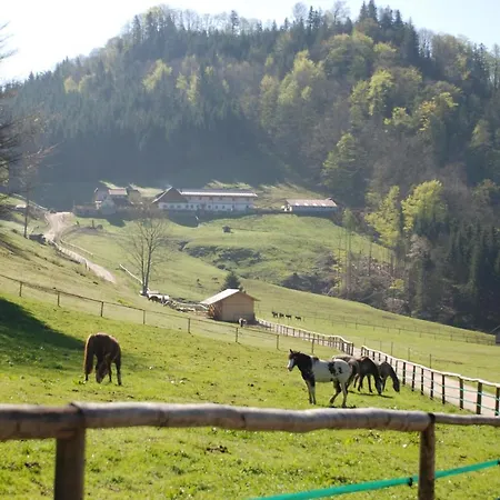 Hochsteinalm Guest house