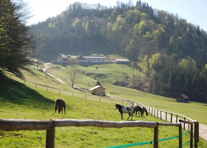 Hochsteinalm Konukevi