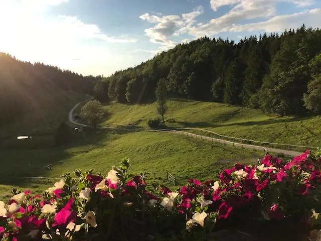 Гостевой дом Hochsteinalm 3*