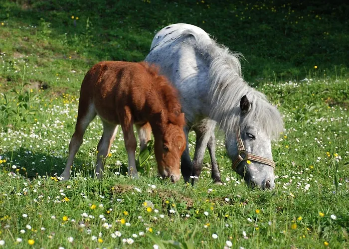 Гостевой дом Hochsteinalm