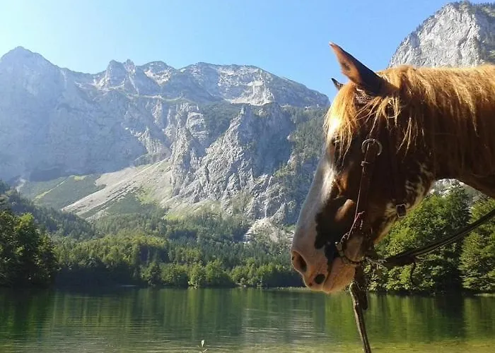 Hochsteinalm Траункирхен